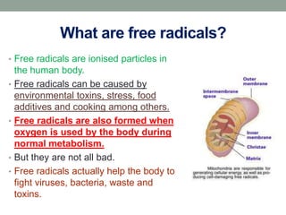 What are free radicals?
• Free radicals are ionised particles in
    the human body.
•   Free radicals can be caused by
  ...