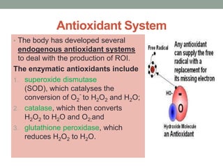 The nonenzymatic/Exogenous
                  antioxidants
This includes
1. the lipid-soluble vitamins, vitamin E and vitam...