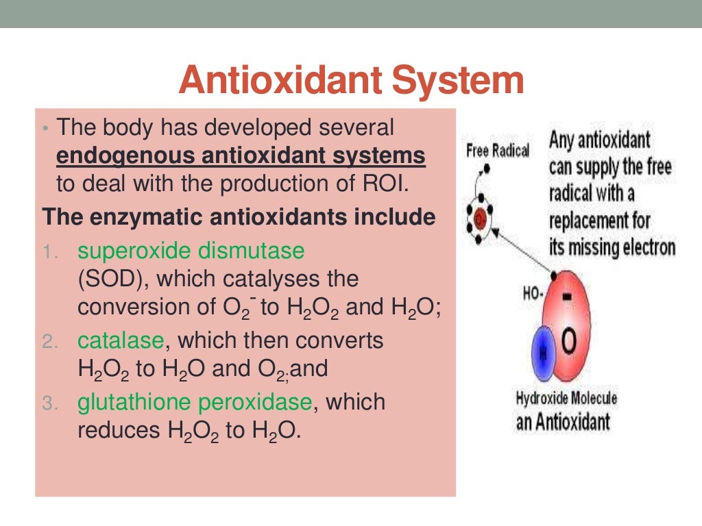 13. free radicals and antioxidants