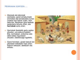 HERRIXKAK SORTZEN….
 Abereak eta laboreak
zaintzeko, gizon-emakumeek
animalien eta landatutako lurren
ondean bizi behar zuten. Hori
dela eta, Neolitoan giza taldeak
sedentario bihurtu ziren, eta
herrixkak sortu ziren.
 Herrixkak ibaietatik gertu egiten
zituzten, ura eskura izateko.
Eta, normalean, enborrez edo
oléis batez inguratzen
zituzten, babestuago egoteko.
 Garai horretan, gizaki batzuk lan
jakinetan trebatzen hasi ziren:
batzuk nekazari, abeltzain eta
artisau.
 