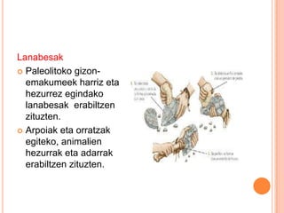 Lanabesak
 Paleolitoko gizon-
emakumeek harriz eta
hezurrez egindako
lanabesak erabiltzen
zituzten.
 Arpoiak eta orratzak
egiteko, animalien
hezurrak eta adarrak
erabiltzen zituzten.
 