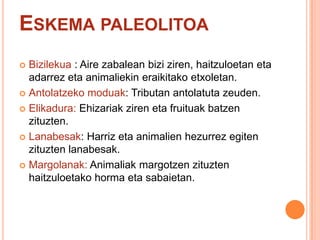 ESKEMA PALEOLITOA
 Bizilekua : Aire zabalean bizi ziren, haitzuloetan eta
adarrez eta animaliekin eraikitako etxoletan.
 Antolatzeko moduak: Tributan antolatuta zeuden.
 Elikadura: Ehizariak ziren eta fruituak batzen
zituzten.
 Lanabesak: Harriz eta animalien hezurrez egiten
zituzten lanabesak.
 Margolanak: Animaliak margotzen zituzten
haitzuloetako horma eta sabaietan.
 