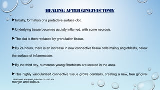 HEALING AFTERGINGIVECTOMY
Initially, formation of a protective surface clot.
Underlying tissue becomes acutely inflamed, with some necrosis.
The clot is then replaced by granulation tissue.
By 24 hours, there is an increase in new connective tissue cells mainly angioblasts, below
the surface of inflammation.
By the third day, numerous young fibroblasts are located in the area.
This highly vascularized connective tissue grows coronally, creating a new, free gingival
margin and sulcus.
DR MUZAMMIL MOIN AHMED, BURAYDAH COLLEGES, KSA
 
