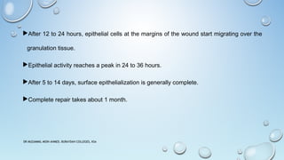 After 12 to 24 hours, epithelial cells at the margins of the wound start migrating over the
granulation tissue.
Epithelial activity reaches a peak in 24 to 36 hours.
After 5 to 14 days, surface epithelialization is generally complete.
Complete repair takes about 1 month.
DR MUZAMMIL MOIN AHMED, BURAYDAH COLLEGES, KSA
 
