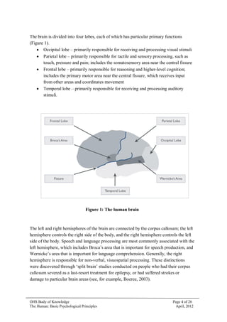 OHS Body of Knowledge Page 4 of 26
The Human: Basic Psychological Principles April, 2012
The brain is divided into four lo...