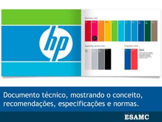 Documento técnico, mostrando o conceito,
recomendações, especificações e normas.
 