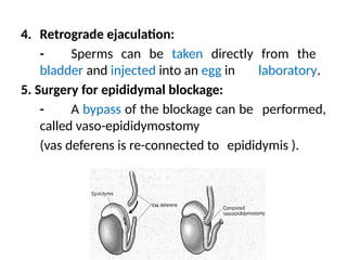 4. Retrograde ejaculation:
- Sperms can be taken directly from the
bladder and injected into an egg in laboratory.
5. Surgery for epididymal blockage:
- A bypass of the blockage can be performed,
called vaso-epididymostomy
(vas deferens is re-connected to epididymis ).
 