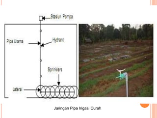 Jaringan Pipa Irigasi Curah 
 