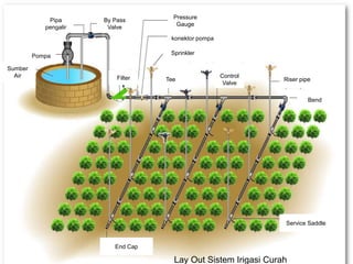 Lay Out Sistem Irigasi Curah 
Sumber 
Air 
Pipa 
pengalir 
Pompa 
By Pass 
Valve 
Filter 
Pressure 
Gauge 
konektor pompa 
Sprinkler 
Tee 
Control 
Valve 
Riser pipe 
Bend 
Service Saddle 
End Cap 
