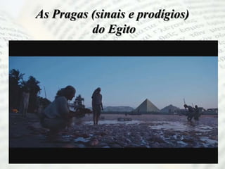 As Pragas (sinais e prodígios)
do Egito
 