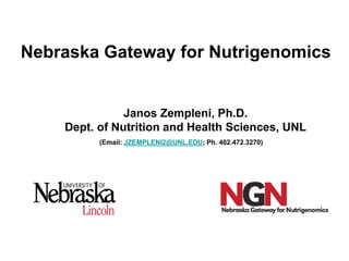 Nebraska Gateway for Nutrigenomics


               Janos Zempleni, Ph.D.
    Dept. of Nutrition and Health Sciences, UNL
          (Email: JZEMPLENI2@UNL.EDU; Ph. 402.472.3270)
 