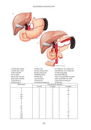 NGOẠI KHOA LÂM SÀNG-2007




1-Cạnh tâm vị phải     7-ĐM vị trái                 14v-TM mạc treo tràng trên
2-Cạnh tâm vị trái     8a-Gan chung trước           14a-ĐM mạc treo tràng trên
3-Bờ cong nhỏ          8p-Gan chung sau             15-Đại tràng giữa
4sa-Vị ngắn            9-ĐM thân tạng               16a1-Khe ĐM chủ
4sb-Vị-mạc nối trái    10-Rốn lách                  16a2, b1-Cạnh ĐM chủ, giữa
4d-Vị-mạc nối phải     11p-Lách gần                 16b2-Cạnh ĐM chủ, dưới
5-Trên môn vị          11d-Lách xa                  12b,p-Gan-tá tràng sau
6-Dưới môn vị          12a-Gan-tá tràng trái        13-Sau tụy
         Nhóm hạch                        Giai đoạn di căn hạch
                          1/3 trên           1/3 giữa              1/3 dưới
             1               1                   1                     2
             2               1                   3                    M
             3               1                   1                     1
            4sa              1                   3                    M
            4sb              1                   1                     3
             4d              2                   1                     1
              5              3                   1                     1
              6              3                   1                     1
              7              2                   2                     2
             8a              2                   2                     2
             8p              3                   3                     3
              9              2                   2                     2
             10              2                   3                    M
            11p              2                   2                     2
            11d              2                   3                    M
            12a              3                   2                     2


                                  178
 