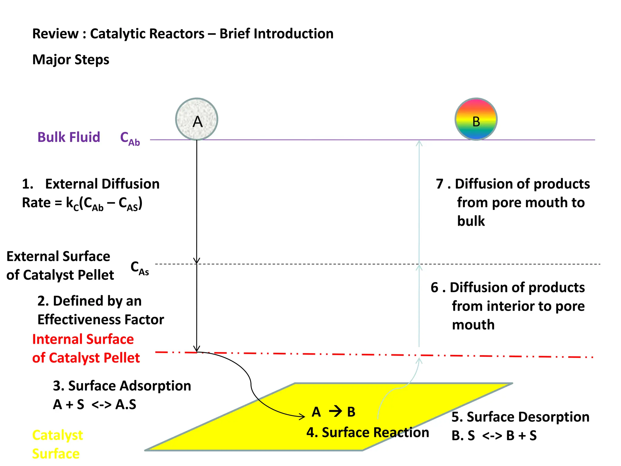 Review : Catalytic Reactors – Brief Introduction
Major Steps
A  B
A
Bulk Fluid
External Surface
of Catalyst Pellet
Catalyst
Surface
Internal Surface
of Catalyst Pellet
CAb
CAs
2. Defined by an
Effectiveness Factor
1. External Diffusion
Rate = kC(CAb – CAS)
3. Surface Adsorption
A + S <-> A.S
4. Surface Reaction
5. Surface Desorption
B. S <-> B + S
6 . Diffusion of products
from interior to pore
mouth
B
7 . Diffusion of products
from pore mouth to
bulk
 