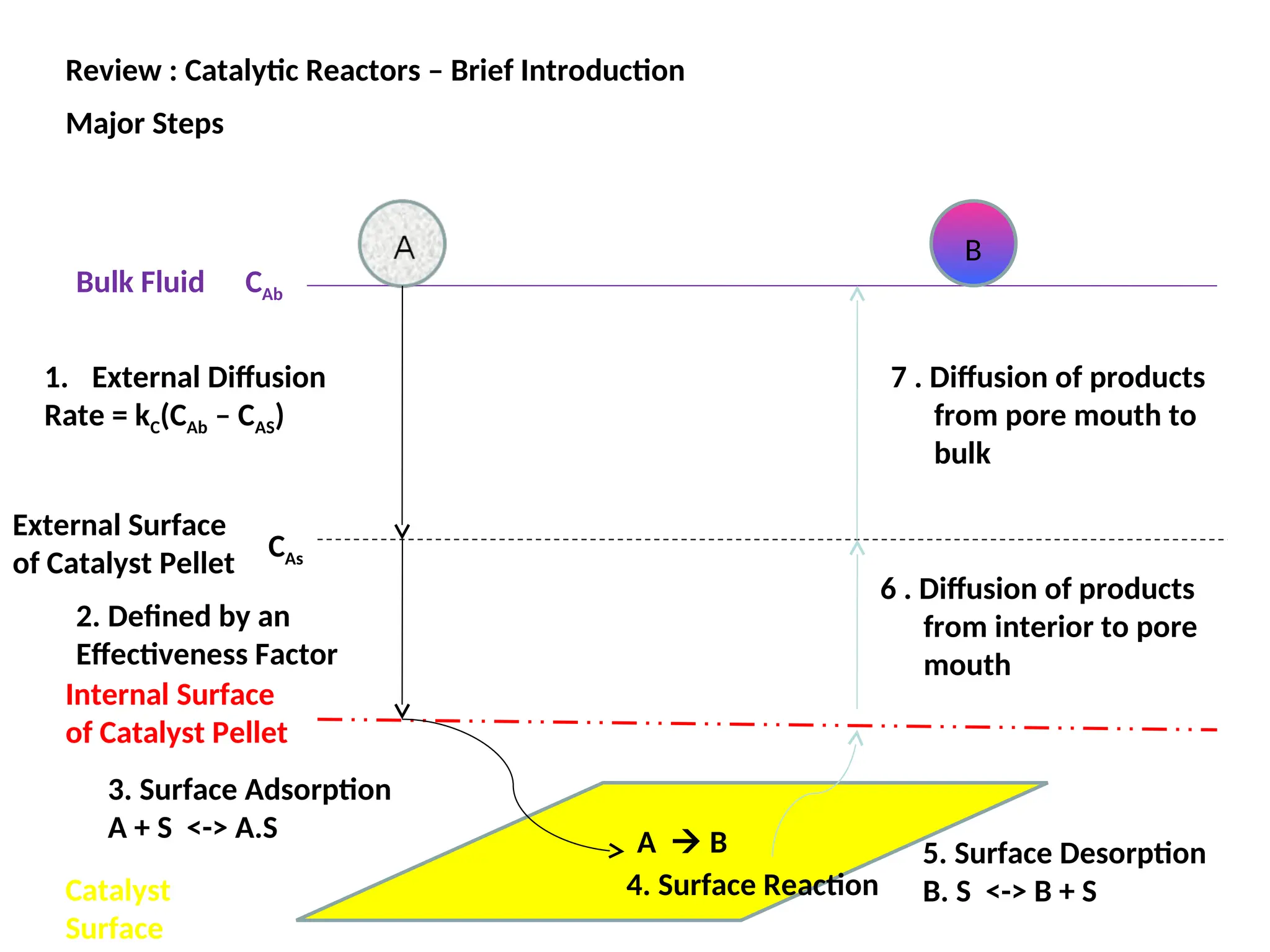 Review : Catalytic Reactors – Brief Introduction
Major Steps
A  B
Bulk Fluid
External Surface
of Catalyst Pellet
Catalyst
Surface
Internal Surface
of Catalyst Pellet
CAb
CAs
2. Defined by an
Effectiveness Factor
1. External Diffusion
Rate = kC(CAb – CAS)
3. Surface Adsorption
A + S <-> A.S
4. Surface Reaction
5. Surface Desorption
B. S <-> B + S
6 . Diffusion of products
from interior to pore
mouth
B
7 . Diffusion of products
from pore mouth to
bulk
 