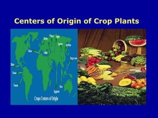 Centers of Origin of Crop Plants 
 