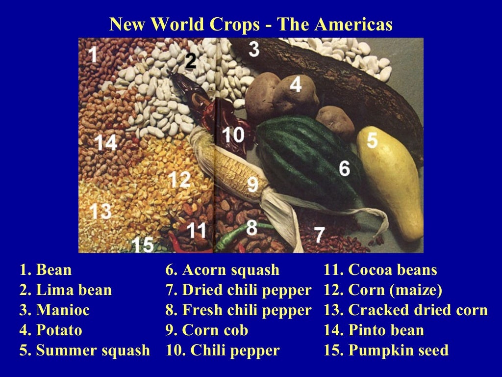 Origin of Crops