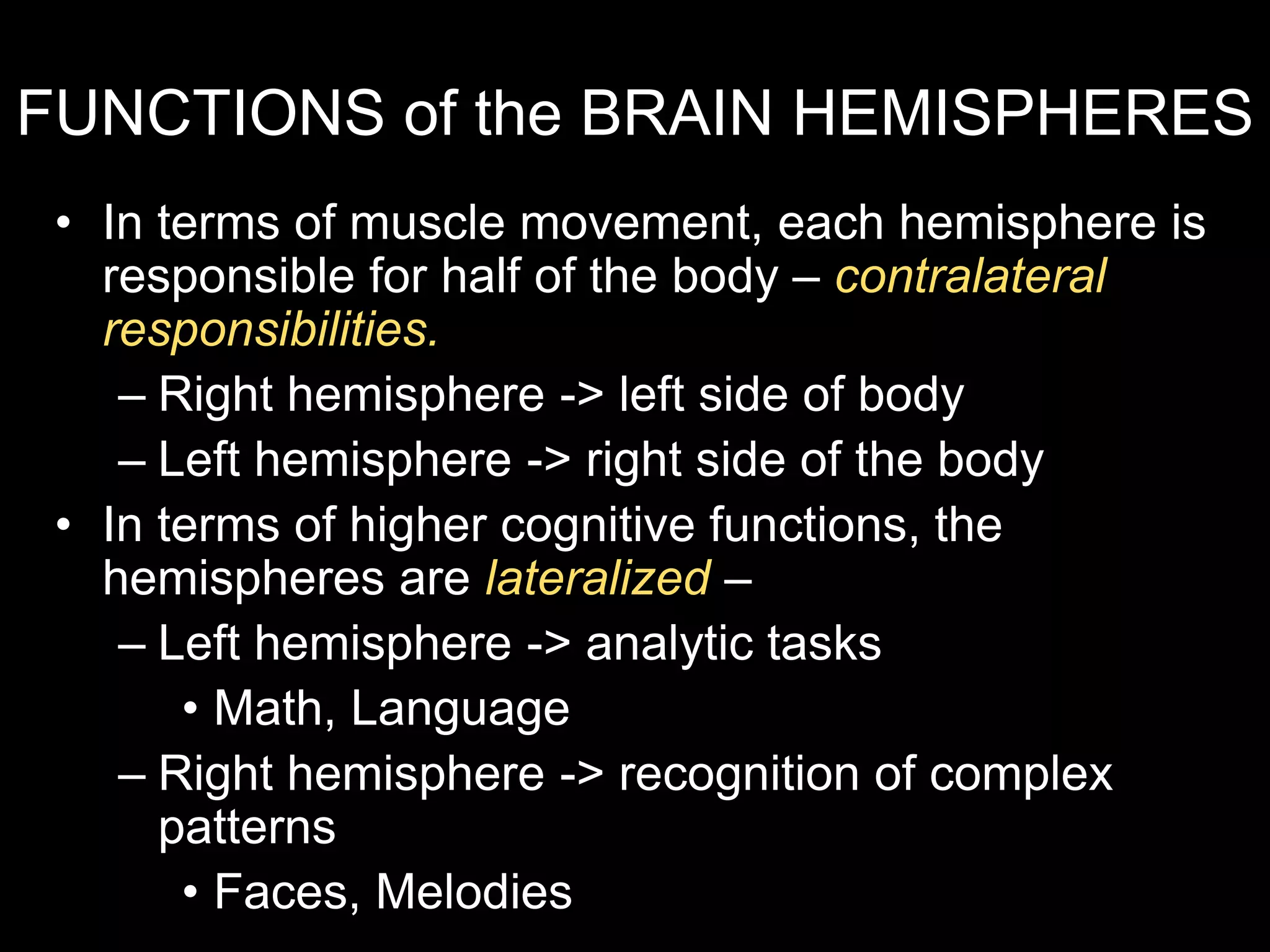 FUNCTIONS of the BRAIN HEMISPHERES
• In terms of muscle movement, each hemisphere is
responsible for half of the body – contralateral
responsibilities.
– Right hemisphere -> left side of body
– Left hemisphere -> right side of the body
• In terms of higher cognitive functions, the
hemispheres are lateralized –
– Left hemisphere -> analytic tasks
• Math, Language
– Right hemisphere -> recognition of complex
patterns
• Faces, Melodies
 