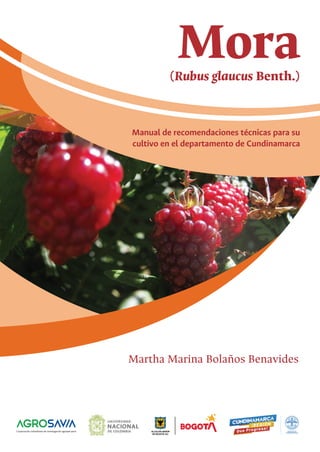 Mora
(Rubus glaucus Benth.)
Manual de recomendaciones técnicas para su
cultivo en el departamento de Cundinamarca
Martha Marina Bolaños Benavides
 