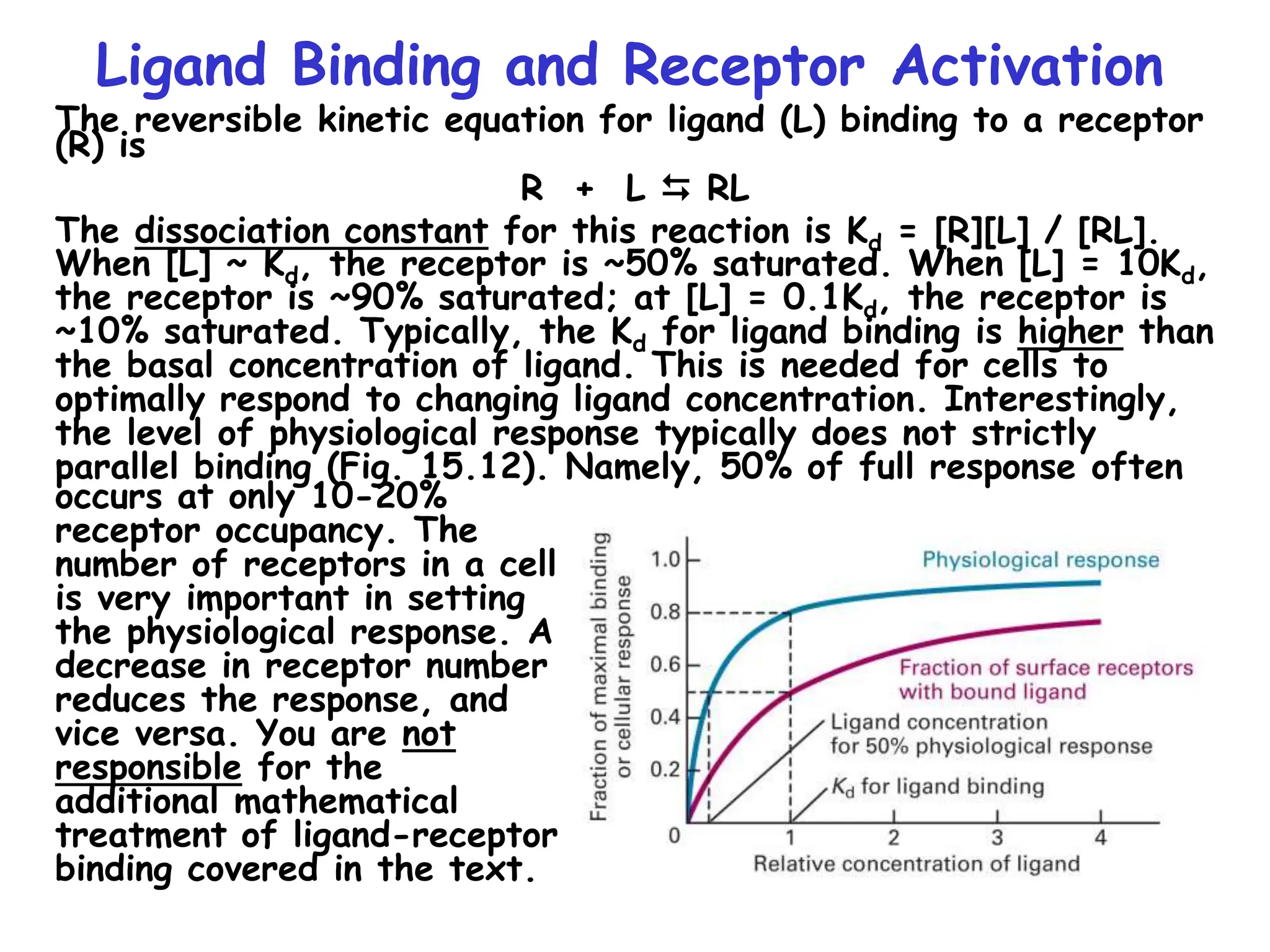 Ligand Binding and Receptor Activation
The reversible kinetic equation for ligand (L) binding to a receptor
(R) is
R + L  RL
The dissociation constant for this reaction is Kd = [R][L] / [RL].
When [L] ~ Kd, the receptor is ~50% saturated. When [L] = 10Kd,
the receptor is ~90% saturated; at [L] = 0.1Kd, the receptor is
~10% saturated. Typically, the Kd for ligand binding is higher than
the basal concentration of ligand. This is needed for cells to
optimally respond to changing ligand concentration. Interestingly,
the level of physiological response typically does not strictly
parallel binding (Fig. 15.12). Namely, 50% of full response often
occurs at only 10-20%
receptor occupancy. The
number of receptors in a cell
is very important in setting
the physiological response. A
decrease in receptor number
reduces the response, and
vice versa. You are not
responsible for the
additional mathematical
treatment of ligand-receptor
binding covered in the text.
 