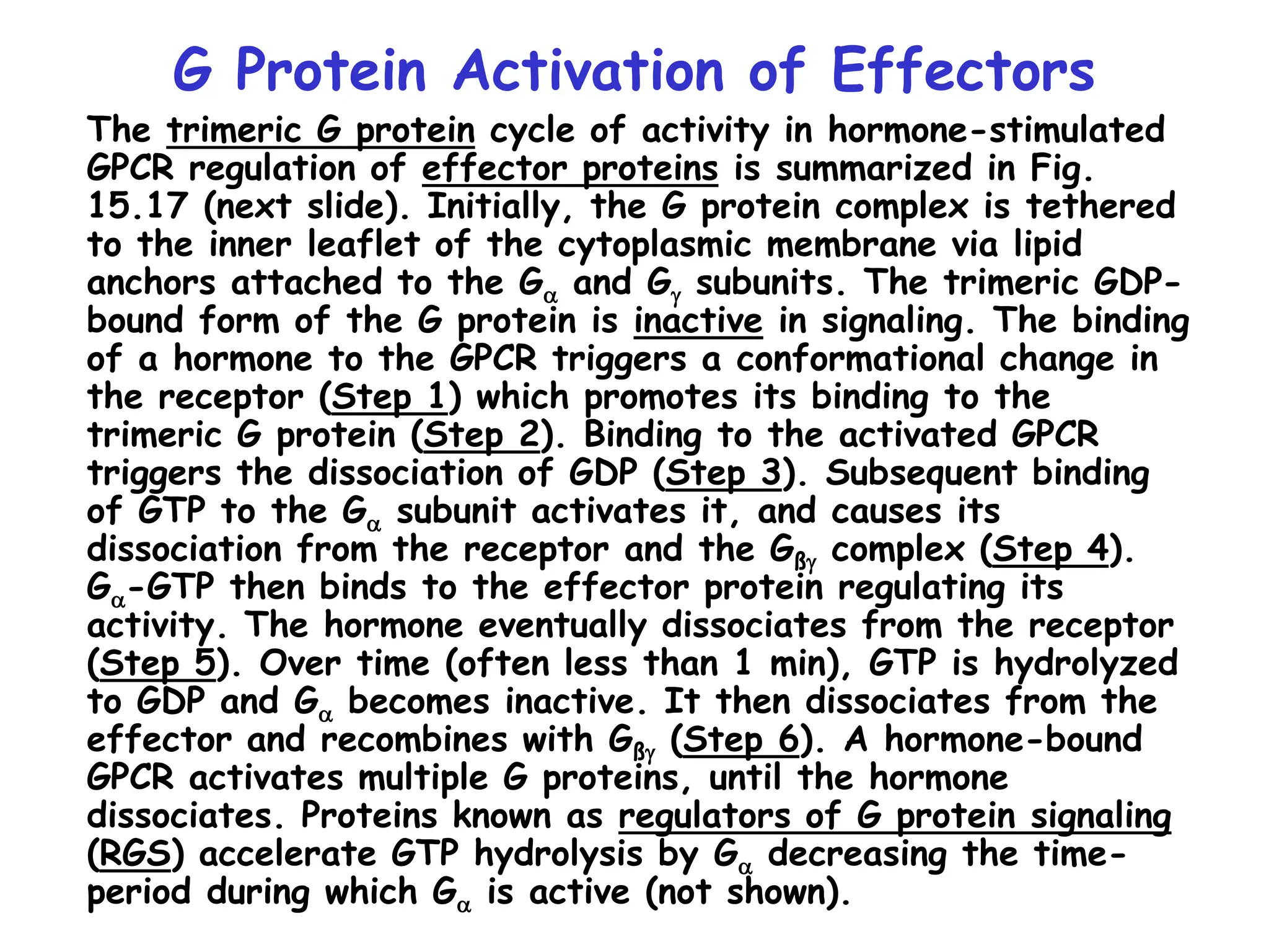 G Protein Activation of Effectors
The trimeric G protein cycle of activity in hormone-stimulated
GPCR regulation of effector proteins is summarized in Fig.
15.17 (next slide). Initially, the G protein complex is tethered
to the inner leaflet of the cytoplasmic membrane via lipid
anchors attached to the Ga and Gg subunits. The trimeric GDP-
bound form of the G protein is inactive in signaling. The binding
of a hormone to the GPCR triggers a conformational change in
the receptor (Step 1) which promotes its binding to the
trimeric G protein (Step 2). Binding to the activated GPCR
triggers the dissociation of GDP (Step 3). Subsequent binding
of GTP to the Ga subunit activates it, and causes its
dissociation from the receptor and the Gßg complex (Step 4).
Ga-GTP then binds to the effector protein regulating its
activity. The hormone eventually dissociates from the receptor
(Step 5). Over time (often less than 1 min), GTP is hydrolyzed
to GDP and Ga becomes inactive. It then dissociates from the
effector and recombines with Gßg (Step 6). A hormone-bound
GPCR activates multiple G proteins, until the hormone
dissociates. Proteins known as regulators of G protein signaling
(RGS) accelerate GTP hydrolysis by Ga decreasing the time-
period during which Ga is active (not shown).
 