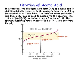 Titration of Acetic Acid
In a titration, the conjugate acid form (HA) of a weak acid is
stoichiometrically converted to its conjugate base form (A-) by
the addition of a strong base. The titration curve for acetic
acid (Fig. 2.27) can be used to explain the HH equation. The
ratios of [A_]/[HA] are indicated as a function of pH. The
optimum buffering range of acetic acid is +/- 1 pH unit from
the pKa.
[A-]/[HA] = 1/10
[A-]/[HA] = 1/1
[A-]/[HA] = 10/1
 