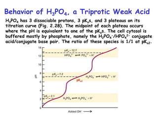 Behavior of H3PO4, a Triprotic Weak Acid
H3PO4 has 3 dissociable protons, 3 pKas, and 3 plateaus on its
titration curve (Fig. 2.28). The midpoint of each plateau occurs
where the pH is equivalent to one of the pKas. The cell cytosol is
buffered mostly by phosphate, namely the H2PO4
-/HPO4
2- conjugate
acid/conjugate base pair. The ratio of these species is 1/1 at pKa2.
pKa2
 