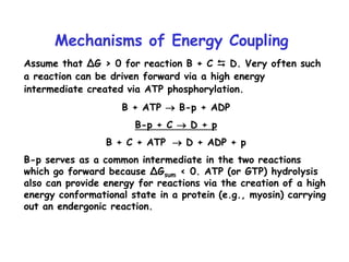 Mechanisms of Energy Coupling
Assume that ∆G > 0 for reaction B + C  D. Very often such
a reaction can be driven forward via a high energy
intermediate created via ATP phosphorylation.
B + ATP  B-p + ADP
B-p + C  D + p
B + C + ATP  D + ADP + p
B-p serves as a common intermediate in the two reactions
which go forward because ∆Gsum < 0. ATP (or GTP) hydrolysis
also can provide energy for reactions via the creation of a high
energy conformational state in a protein (e.g., myosin) carrying
out an endergonic reaction.
 