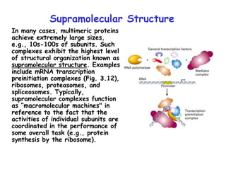 Protein structure and receptor function | PPT
