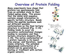 Protein structure primary secondary tertiary.ppt