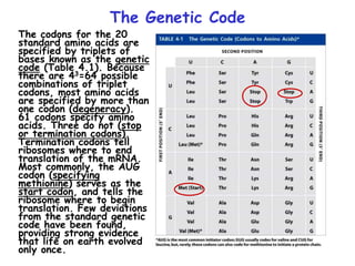 The Genetic Code
The codons for the 20
standard amino acids are
specified by triplets of
bases known as the genetic
code (Table 4.1). Because
there are 43=64 possible
combinations of triplet
codons, most amino acids
are specified by more than
one codon (degeneracy).
61 codons specify amino
acids. Three do not (stop
or termination codons).
Termination codons tell
ribosomes where to end
translation of the mRNA.
Most commonly, the AUG
codon (specifying
methionine) serves as the
start codon, and tells the
ribosome where to begin
translation. Few deviations
from the standard genetic
code have been found,
providing strong evidence
that life on earth evolved
only once.
 
