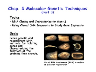 Chap. 5 Molecular Genetic Techniques
(Part B)
Topics
• DNA Cloning and Characterization (cont.)
• Using Cloned DNA fragments to Study Gene Expression
Goals
Learn genetic and
recombinant DNA
methods for isolating
genes and
characterizing the
functions of the
proteins they encode.
Use of RNA interference (RNAi) in analysis
of planarian regeneration
 