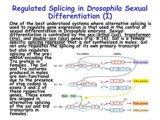 13-miller-chap-8-lecture (1).ppt