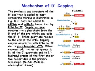 13-miller-chap-8-lecture (1).ppt
