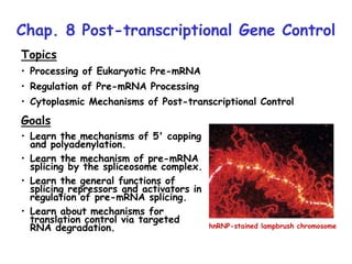 Chap. 8 Post-transcriptional Gene Control
hnRNP-stained lampbrush chromosome
Topics
• Processing of Eukaryotic Pre-mRNA
• Regulation of Pre-mRNA Processing
• Cytoplasmic Mechanisms of Post-transcriptional Control
Goals
• Learn the mechanisms of 5' capping
and polyadenylation.
• Learn the mechanism of pre-mRNA
splicing by the spliceosome complex.
• Learn the general functions of
splicing repressors and activators in
regulation of pre-mRNA splicing.
• Learn about mechanisms for
translation control via targeted
RNA degradation.
 