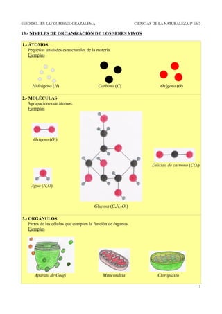 SESO DEL IES LAS CUMBRES. GRAZALEMA                            CIENCIAS DE LA NATURALEZA 1º ESO

13.- NIVELES DE ORGANIZACIÓN DE LOS SERES VIVOS

1.- ÁTOMOS
    Pequeñas unidades estructurales de la materia.
    Ejemplos




     Hidrógeno (H)                        Carbono (C)                      Oxígeno (O)

2.- MOLÉCULAS
   Agrupaciones de átomos.
    Ejemplos




      Oxígeno (O2)




                                                                       Dióxido de carbono (CO2)



     Agua (H2O)



                                        Glucosa (C6H12O6)

3.- ORGÁNULOS
    Partes de las células que cumplen la función de órganos.
    Ejemplos




      Aparato de Golgi                       Mitocondria                  Cloroplasto

                                                                                              1
 