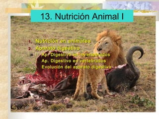 1.1. Nutrición en animalesNutrición en animales
2.2. Aparato digestivoAparato digestivo
1.1. Ap. Digestivo en invertebradosAp. Digestivo en invertebrados
2.2. Ap. Digestivo en vertebradosAp. Digestivo en vertebrados
3.3. Evolución del aparato digestivoEvolución del aparato digestivo
13. Nutrición Animal I
 