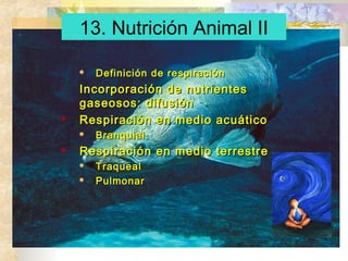 13. Nutrición Animal II


•


Incorporación de nutrientes
gaseosos: difusión
Respiración en medio acuático




Definición de respiración

Branquial

Respiración en medio terrestre



Traqueal
Pulmonar

 
