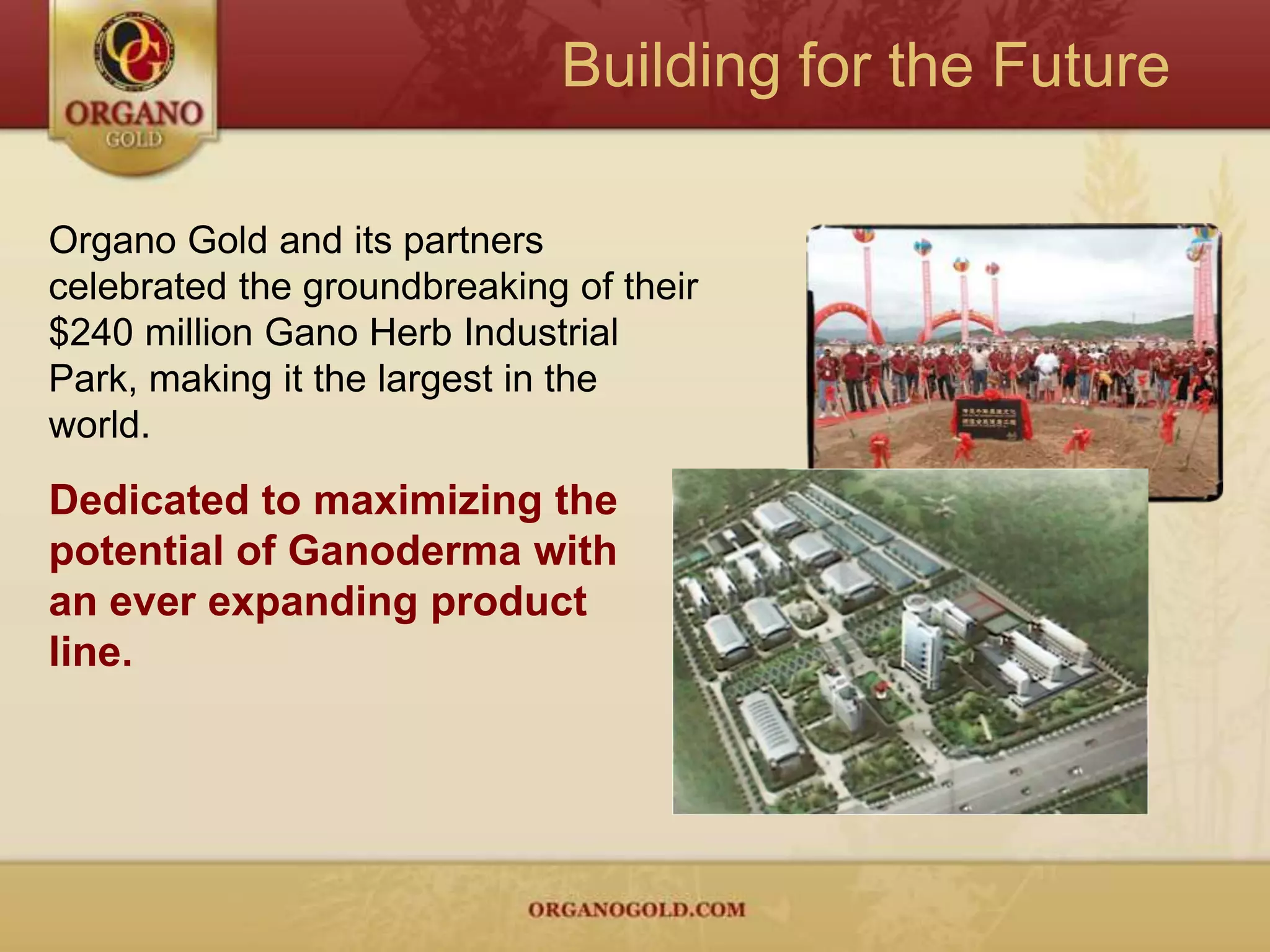 Exclusive and Powerful Ingredient100% Certified Organic                 Ganoderma LucidumMore than 4,000 years of history, originally reserved for “Royalty”.Regarded by the Chinese as the             “King of Herbs” or the “Miracle Herb,” because of its ability to help improve the body's healing capacity, and longevity.With well over 150 antioxidants and phytonutrients, Ganoderma Lucidum is the closest thing to nutritional perfection found in nature.