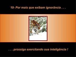 10- Por mais que exibam ignorância . . . . . . prossiga exercitando sua inteligência ! 