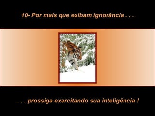 10- Por mais que exibam ignorância . . .




. . . prossiga exercitando sua inteligência !
 