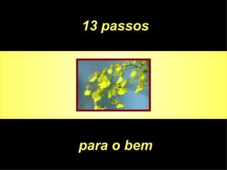 13 passos para o bem   