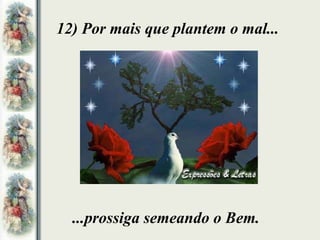12) Por mais que plantem o mal... ...prossiga semeando o Bem. 