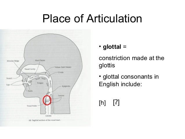 j phonetic soft phonetics 13 iii j phonetic soft phonetics 13 iii