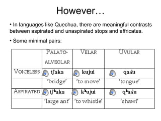 Phonology | PPT