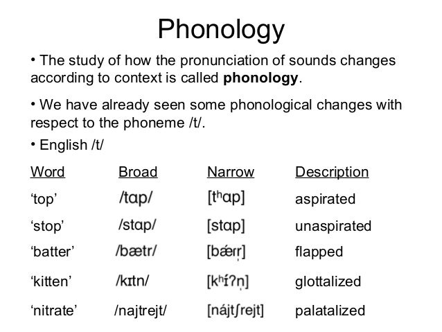 Phonology