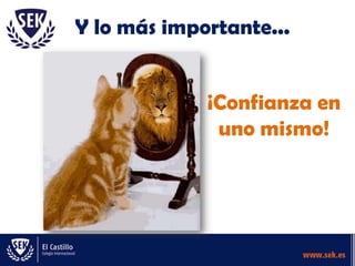Y lo más importante...


             ¡Confianza en
              uno mismo!
 