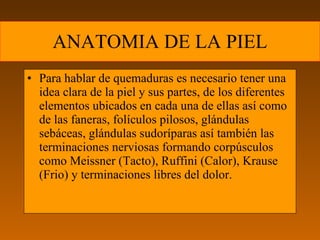 ANATOMIA DE LA PIEL Para hablar de quemaduras es necesario tener una idea clara de la piel y sus partes, de los diferentes elementos ubicados en cada una de ellas así como de las faneras, folículos pilosos, glándulas sebáceas, glándulas sudoríparas así también las terminaciones nerviosas formando corpúsculos como Meissner (Tacto), Ruffini (Calor), Krause (Frio) y terminaciones libres del dolor. 