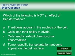 © 2016 Pearson Education, Inc.
Topic 4: Viruses and Cancer
$400 Question
Which of the following is NOT an effect of
transformation?
a. T antigens appear in the nucleus of the cell.
b. Cells lose their ability to divide.
c. Cells tend to exhibit chromosomal
abnormalities.
d. Tumor-specific transplantation antigens
appear on the cell surface. ANSWER
BACK TO GAME
 