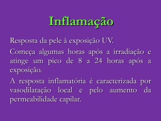 Inflamação Resposta da pele à exposição UV. Começa algumas horas após a irradiação e atinge um pico de 8 a 24 horas após a exposição. A resposta inflamatória é caracterizada por vasodilatação local e pelo aumento da permeabilidade capilar. 
