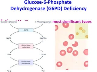 Glucose-6-Phosphate 
Dehydrogenase (G6PD) Deficiency 
• A- and Mediterranean are most significant types 
 